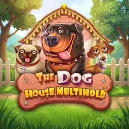 The Dog House Multihold gra w Lucky Bird Casino dla graczy z Polski The Dog House Multihold gra w Lucky Bird Casino dla graczy z Polski